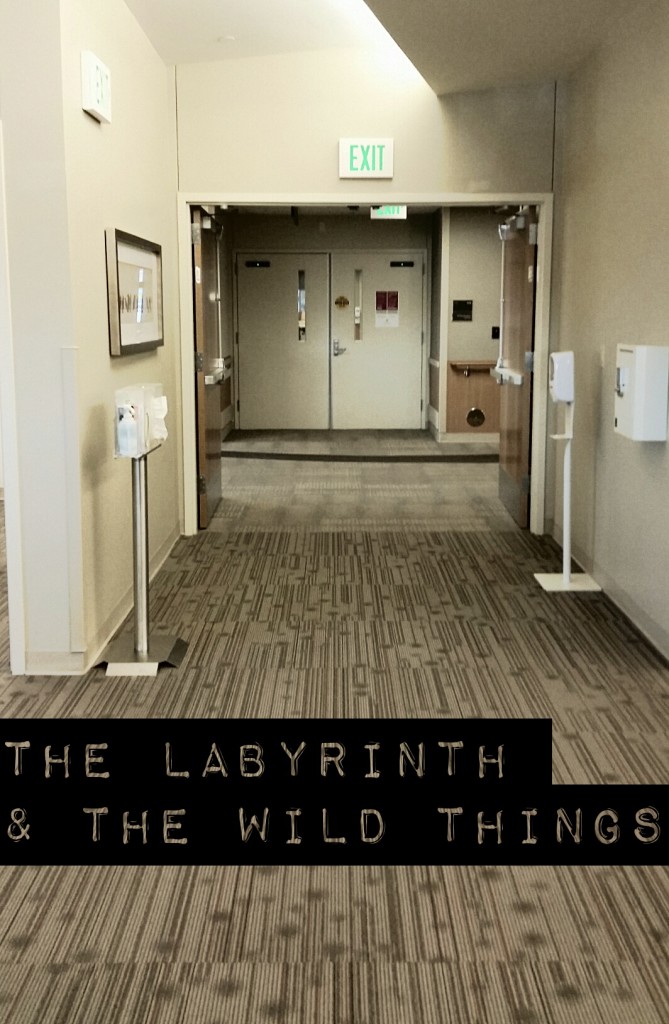 The Labyrinth & The Wild Things